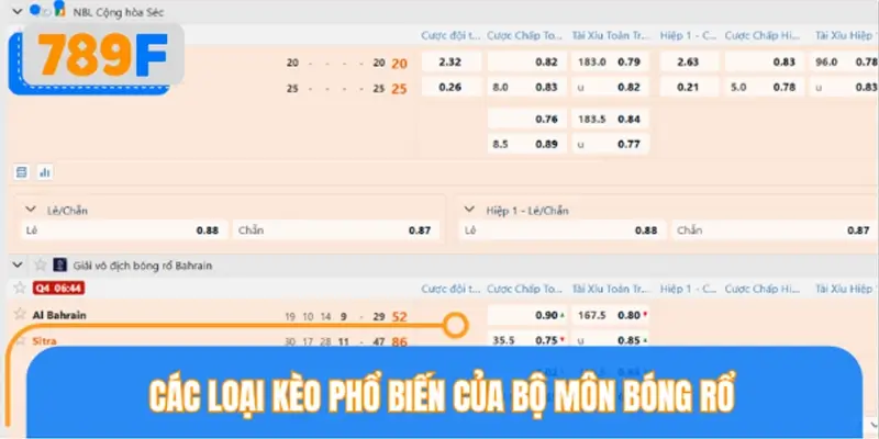 Các loại kèo phổ biến của bộ môn bóng rổ