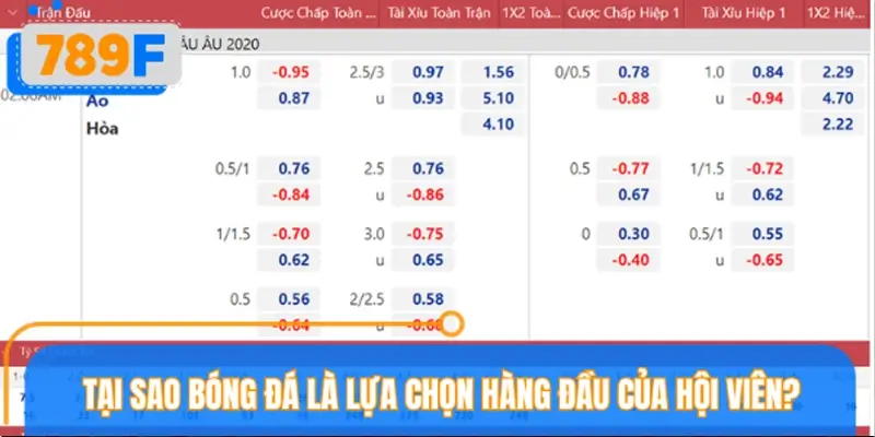 Tại sao bóng đá là lựa chọn hàng đầu của hội viên?