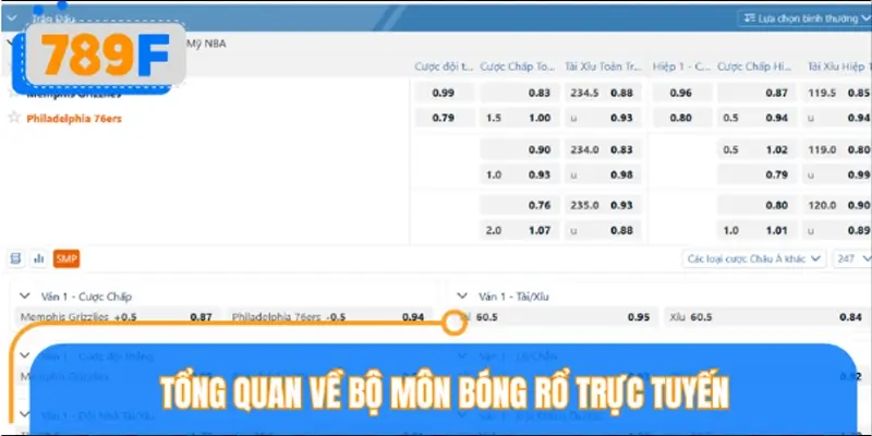 Tổng quan về bộ môn bóng rổ trực tuyến