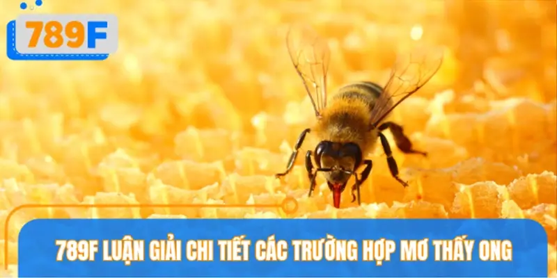 789F Luận giải chi tiết các trường hợp mơ thấy ong thường gặp nhất