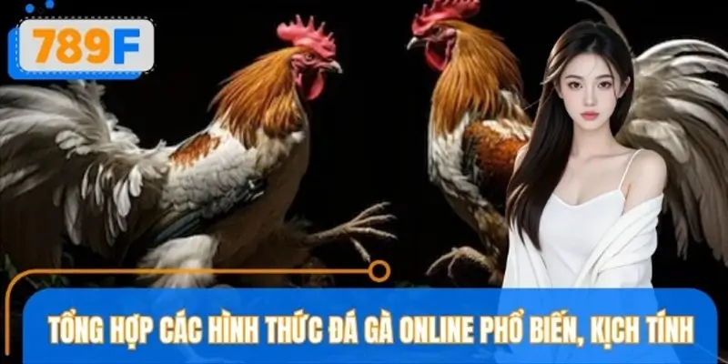 Các hình thức đá gà đang nhận được nhiều sự yêu thích