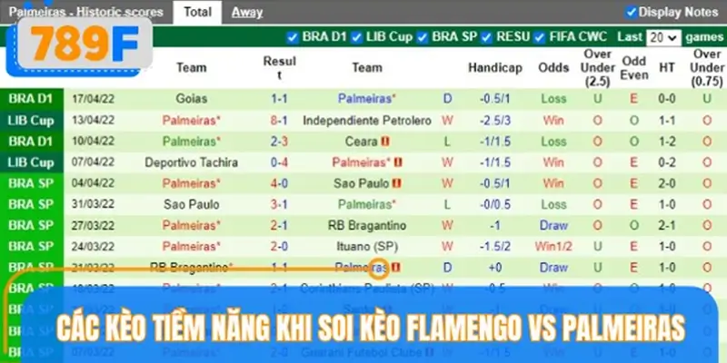 Các kèo tiềm năng khi soi kèo Flamengo vs Palmeiras