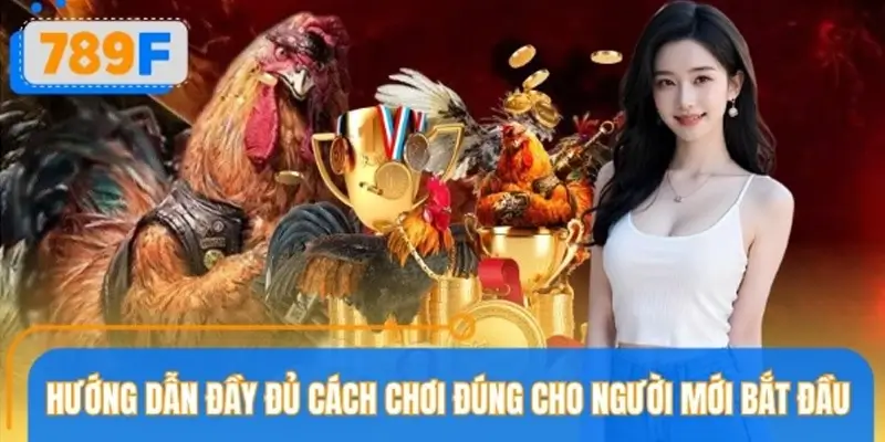 Chi tiết cách chơi chọi gà cựa sắt đúng dành cho người mới