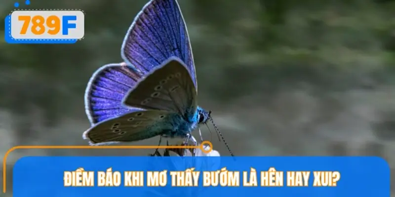 Điềm báo khi mơ thấy bướm là hên hay xui?