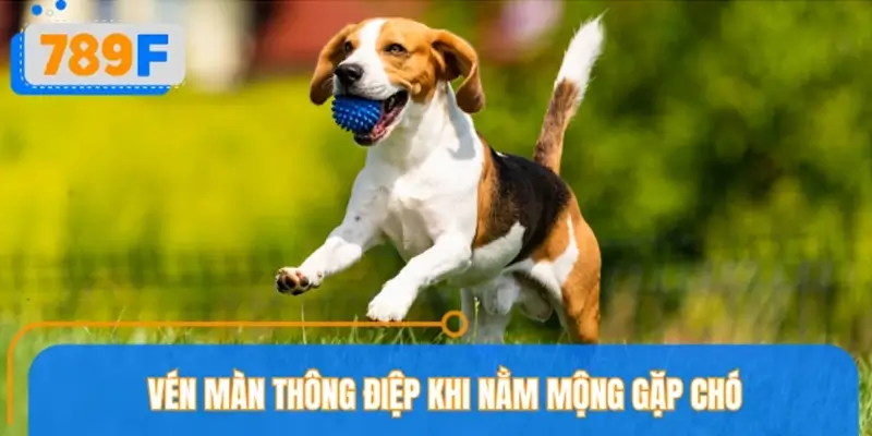 Giải mã giấc mơ thấy chó từng trường hợp cụ thể