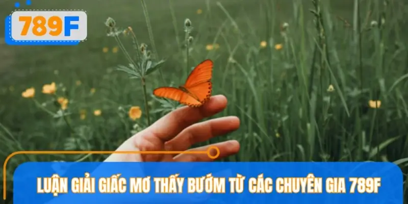 Luận giải giấc mơ thấy bướm từ các chuyên gia 789F