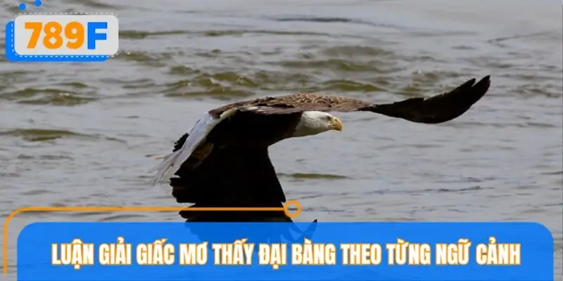 Luận giải giấc mơ thấy đại bàng theo từng ngữ cảnh