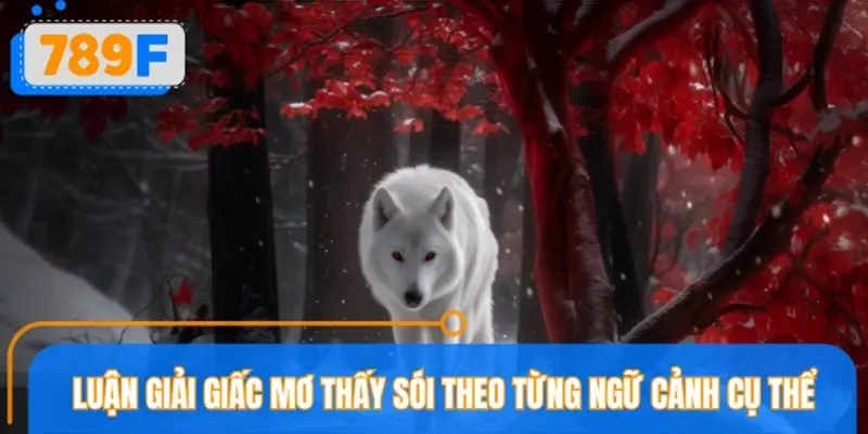 Luận giải giấc mơ thấy sói theo từng ngữ cảnh cụ thể