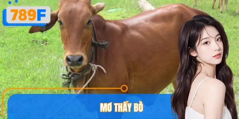 Mơ Thấy Bò Đánh Số Gì? Ý Nghĩa Và Con Số Liên Quan Tại 789F