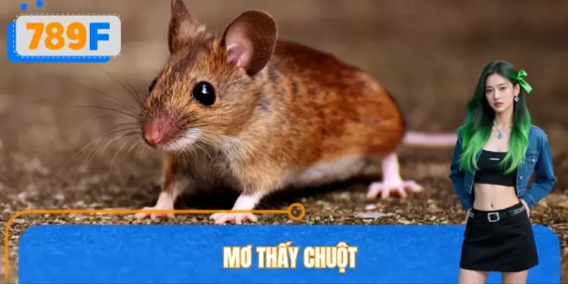 Mơ Thấy Chuột Đánh Số Gì? Con Số May Mắn Liên Quan Từ 789F