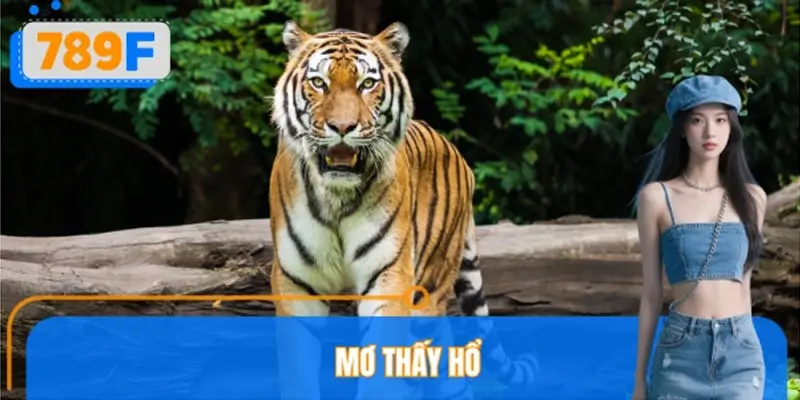 Mơ Thấy Hổ Đánh Số Gì? Điềm Lành Hay Điềm Dữ Tại 789F