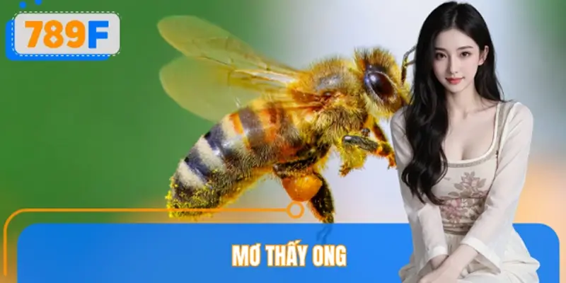 Mơ Thấy Ong Đánh Số Gì 789F Giải Mã Giấc Mơ Báo Hiệu Điều Gì