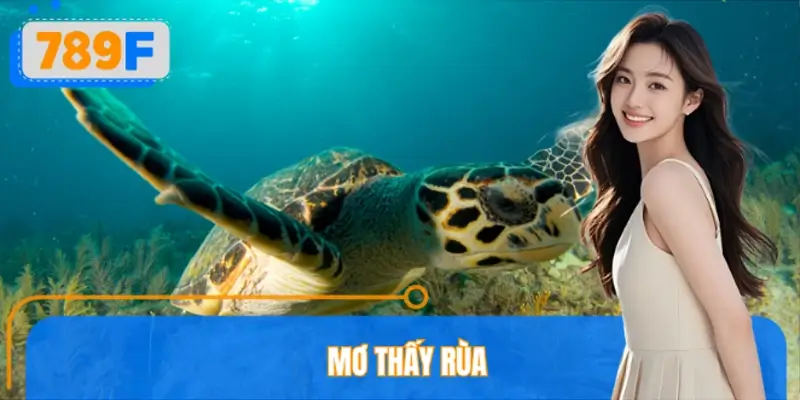 Mơ Thấy Rùa Đánh Số Gì? 789F Giải Mã Điềm Báo Tốt Hay Xấu