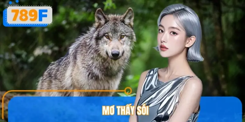 Mơ Thấy Sói Đánh Số Gì? 789F Điềm Báo Và Con Số Liên Quan