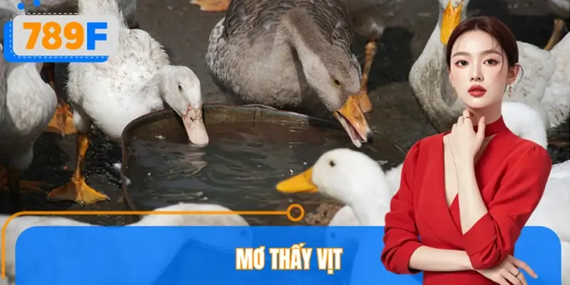 Mơ Thấy Vịt Đánh Số Gì? Giải Mã Giấc Mơ Thường Gặp Tại 789F