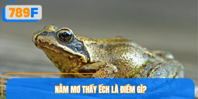 Nằm mơ thấy ếch là điềm gì?