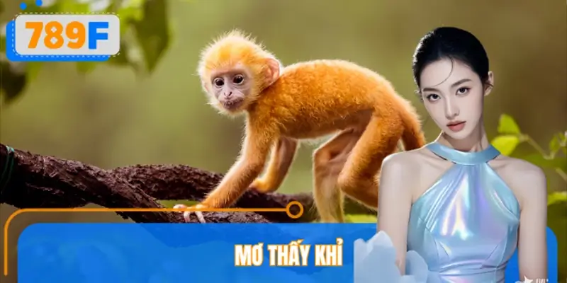 Nằm Mơ Thấy Khỉ Đánh Số Gì? 789F Giải Mã Ý Nghĩa Giấc Mơ