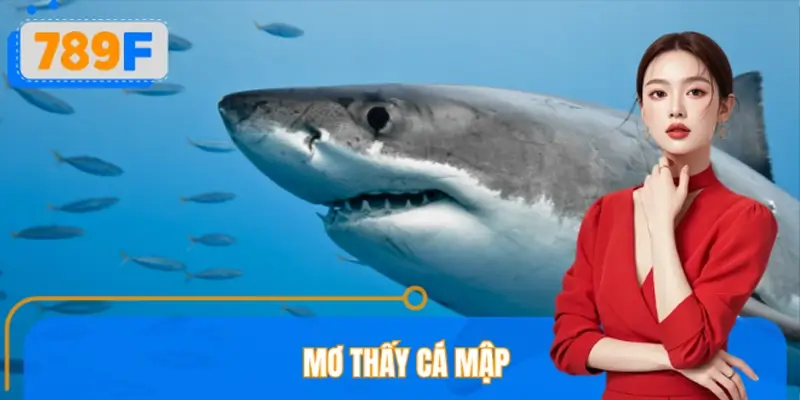 Ngủ Mơ Thấy Cá Mập Đánh Số Gì? Ý Nghĩa Ít Người Biết Từ 789F