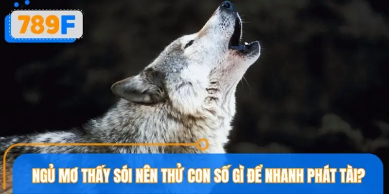 Ngủ mơ thấy sói nên thử con số gì để nhanh phát tài?