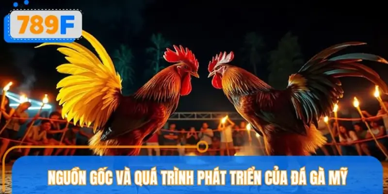 Nguồn gốc và quá trình phát triển của đá gà Mỹ