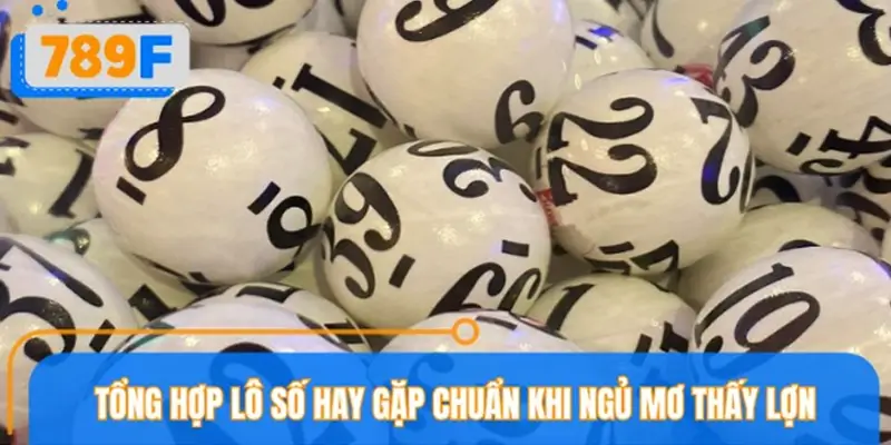 Phân tích con lô xuất hiện trong giấc mơ thấy lợn