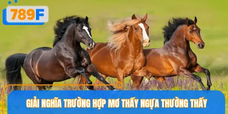 Phân tích sâu từng tình huống khi mơ thấy ngựa