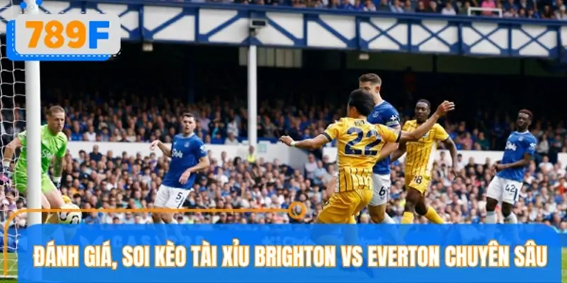 Soi kèo tài xỉu Brighton vs Everton cùng chuyên gia 789F