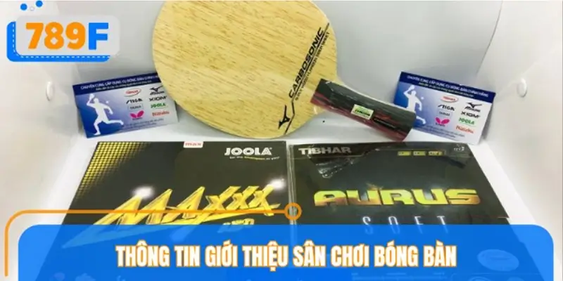 Thông tin giới thiệu sân chơi bóng bàn tại hệ thống 789F