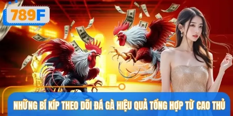 Tổng hợp kinh nghiệm theo dõi hiệu quả từ chia sẻ cao thủ