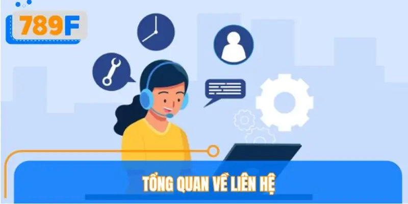 Tổng quan về liên hệ