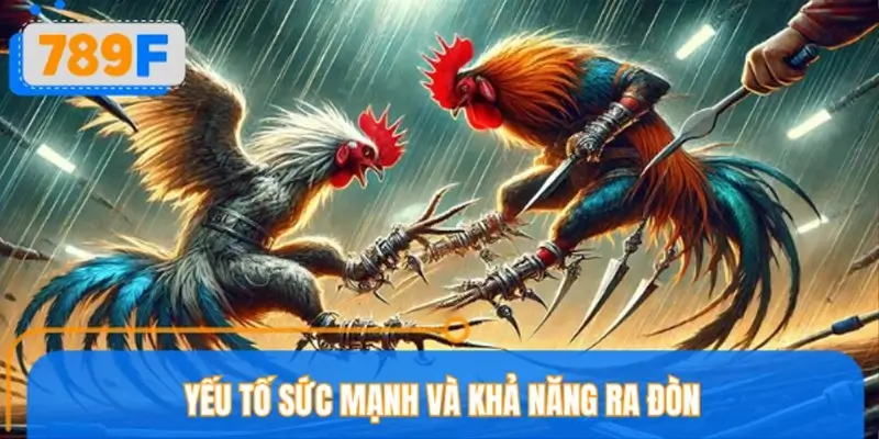 Yếu tố sức mạnh và khả năng ra đòn trong đá gà Mỹ